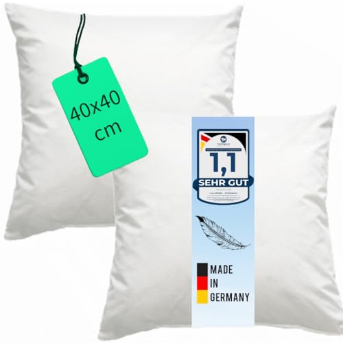 Luxusfeder 2er Set Kissen Daunenkissen 40x40 cm, 300 g...