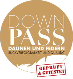 Logo Downpass